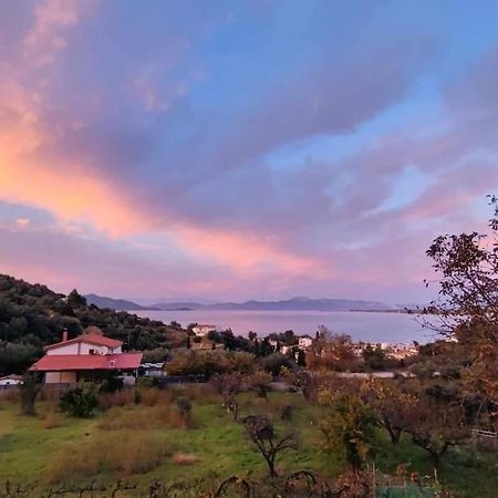 Ολόκληρος Όροφος Αγροτική Οικία Διαμέρισμα Néos Pírgos Εξωτερικό φωτογραφία
