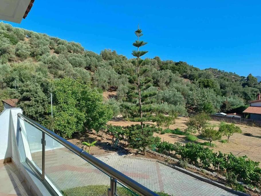 Ολόκληρος Όροφος Αγροτική Οικία Διαμέρισμα Néos Pírgos Εξωτερικό φωτογραφία