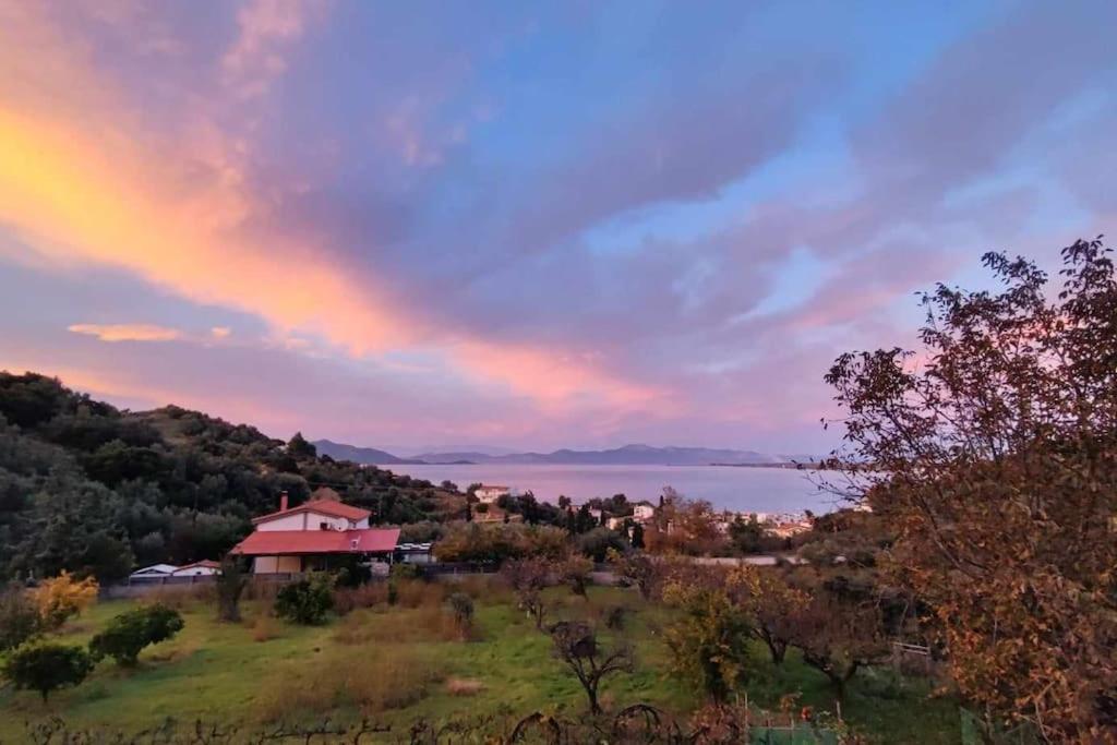 Ολόκληρος Όροφος Αγροτική Οικία Διαμέρισμα Néos Pírgos Εξωτερικό φωτογραφία